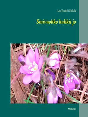 cover image of Sinivuokko kukkii jo
